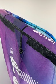 Harlem Kitesurfing-Thrive Kite (DEMO)