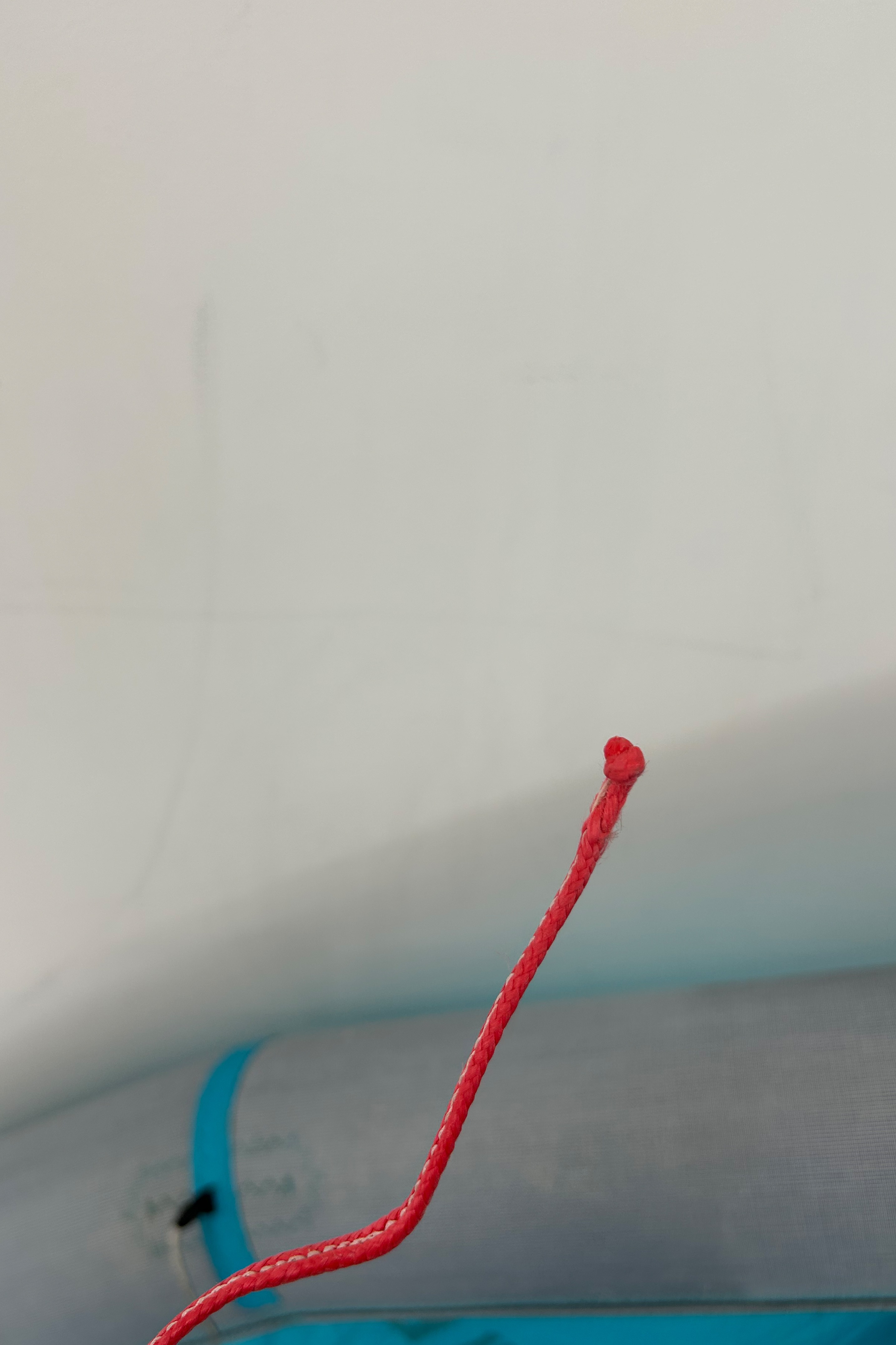 Duotone Kiteboarding-Rebel D/LAB 2026 Kite (DEMO)