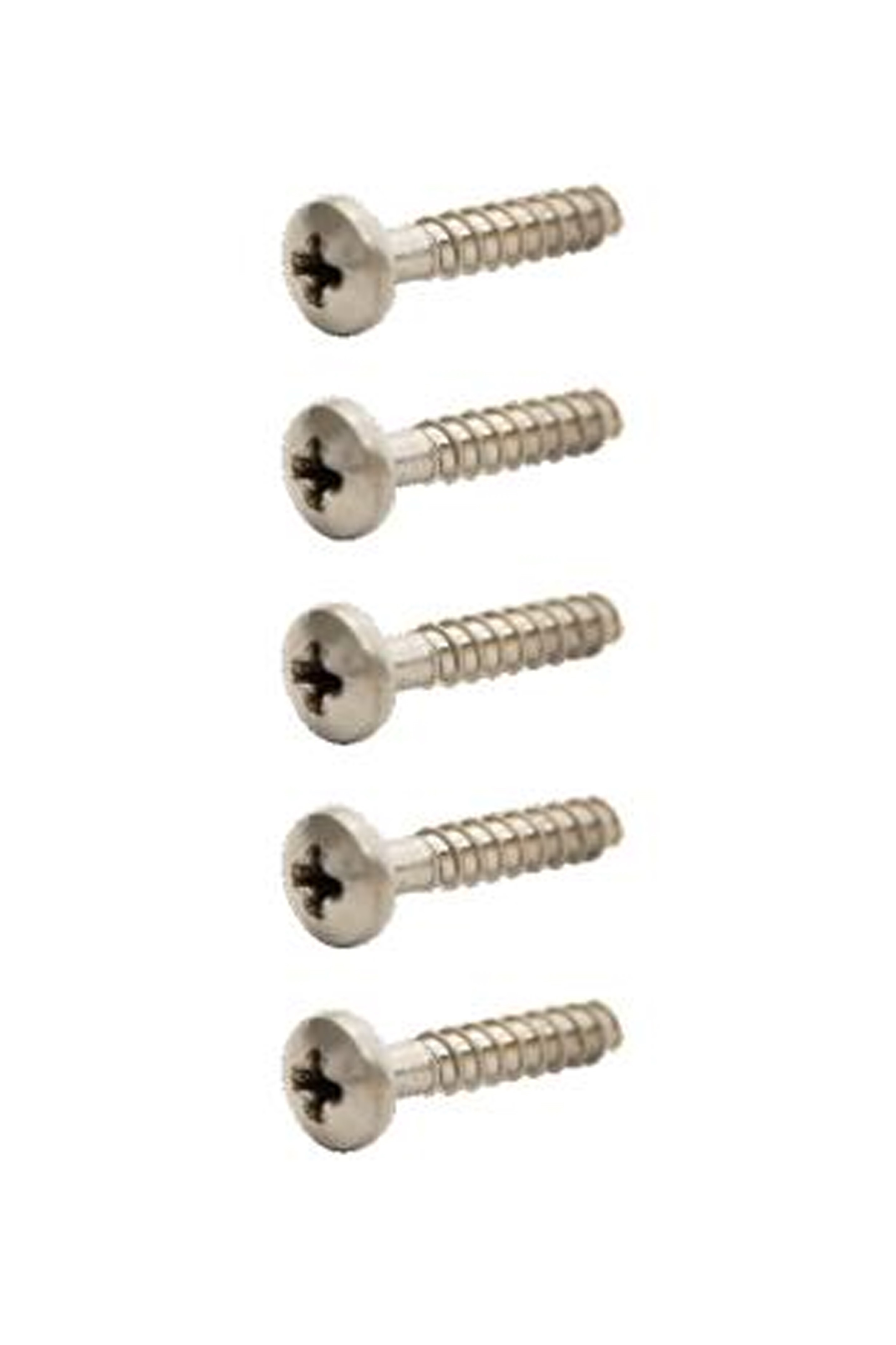 North-Free Strap Self-Tapping Screw (5x)